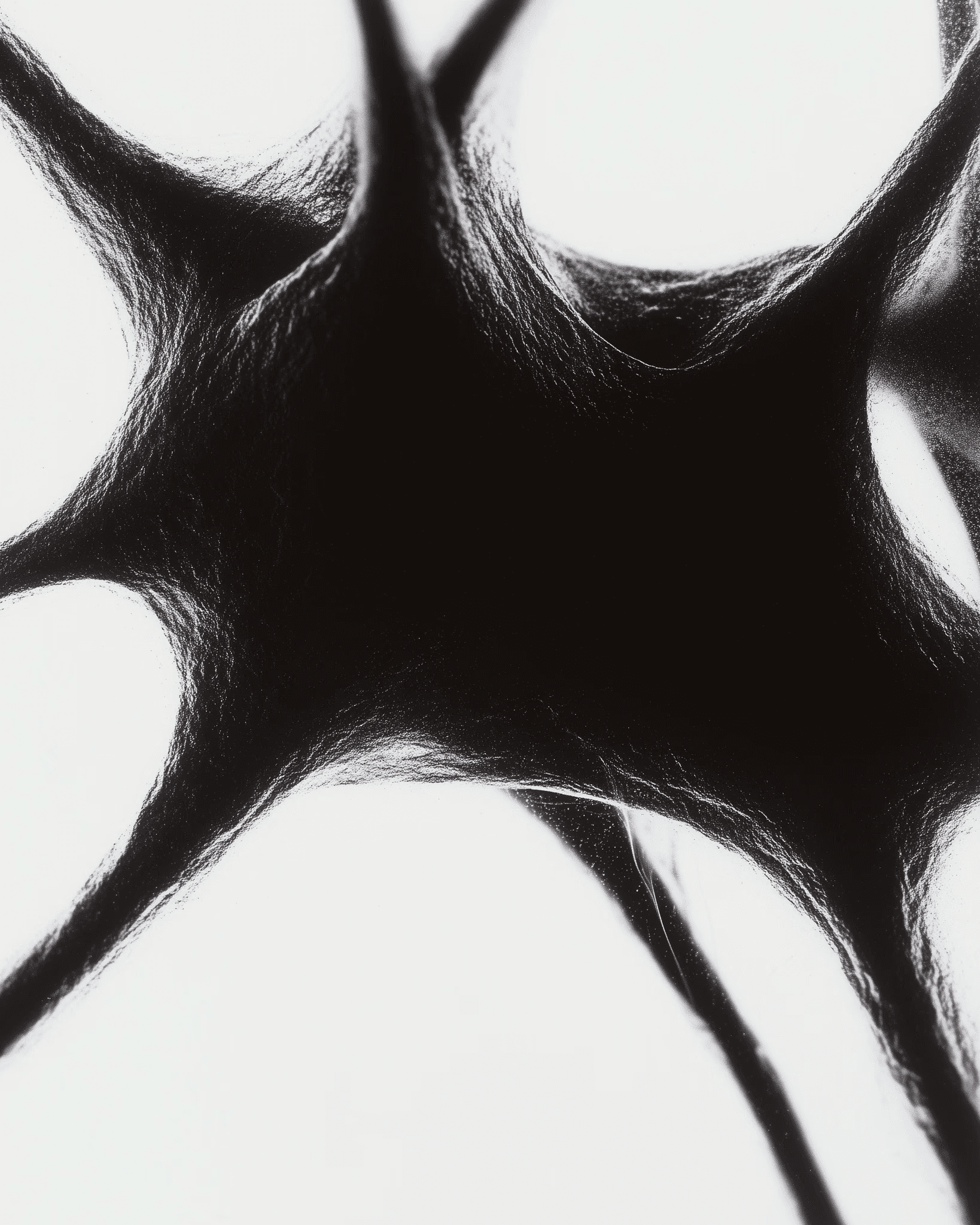 How designers and developers can actually collaborate